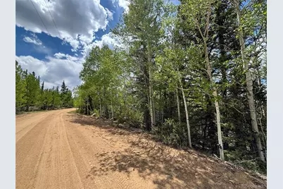 113 Ithaca Lane, Como, CO 80432 - Photo 13