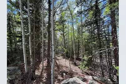 113 Ithaca Lane, Como, CO 80432 - Photo 19