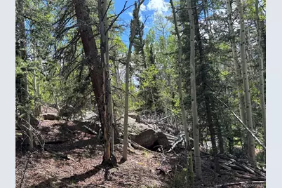 113 Ithaca Lane, Como, CO 80432 - Photo 7