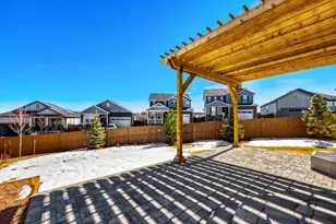 2039 Peachleaf Loop, Castle Rock, CO 80108 - Photo 31