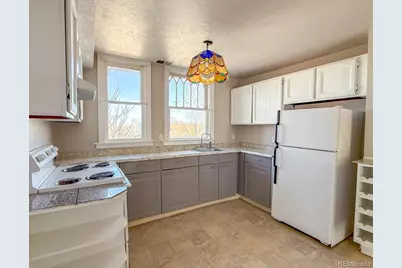 1454 N Williams Street, Denver, CO 80218 - Photo 3