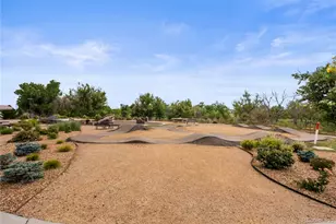 9287 Twenty Mile Road, Parker, CO 80134 - Photo 29