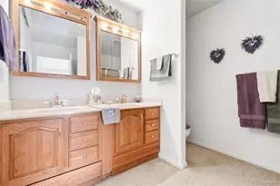 23753 E 155th Way, Brighton, CO 80603 - Photo 19