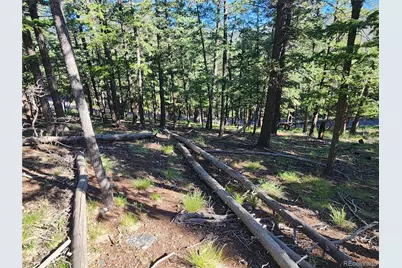 900 Elk Valley Drive, Evergreen, CO 80439 - Photo 27