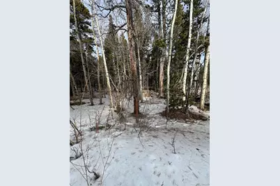 121 Aurora Road, Black Hawk, CO 80422 - Photo 15