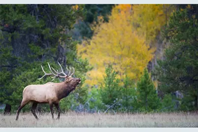 500 Virginia Avenue, Leadville, CO 80461 - Photo 13