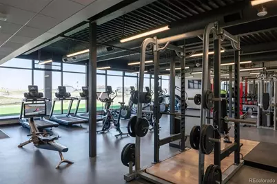 3202 Wingspan Point, Castle Rock, CO 80108 - Photo 41