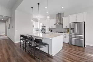 3202 Wingspan Pt, Castle Rock, CO 80108 - Photo 11