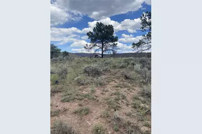 138 Macnaughton Drive, Fort Garland, CO 81133 - Photo 7