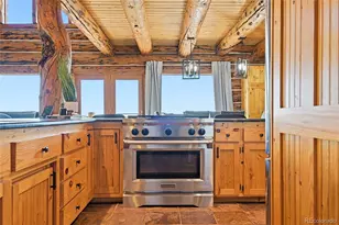 25504 Mountain Moss Ct, Evergreen, CO 80439 - Photo 19