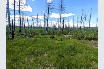 1590 Douglas Lane, Fort Garland, CO 81133 - Photo 7