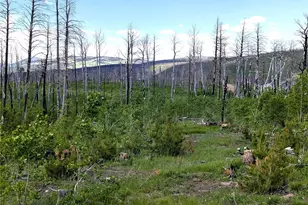 1590 Douglas Ln, Fort Garland, CO 81133 - Photo 1