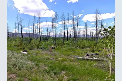 1590 Douglas Lane, Fort Garland, CO 81133 - Photo 3