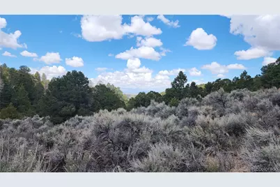 7430 & 7431 Waligunda Road, Fort Garland, CO 81133 - Photo 9