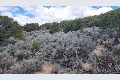 7430 & 7431 Waligunda Road, Fort Garland, CO 81133 - Photo 5