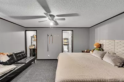 204 Zante Street, Lochbuie, CO 80603 - Photo 21