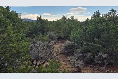 Lot 1862 Wilking Road, Fort Garland, CO 81133 - Photo 11