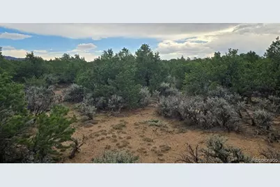 Lot 1862 Wilking Road, Fort Garland, CO 81133 - Photo 5