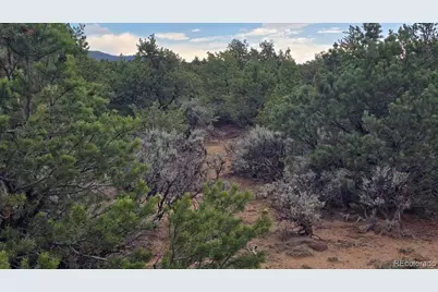 Lot 1862 Wilking Road, Fort Garland, CO 81133 - Photo 9