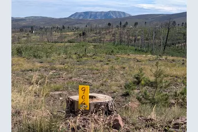 904 Ueda Place, Fort Garland, CO 81133 - Photo 1