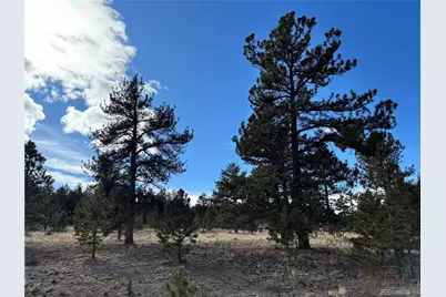 823 Windmill Drive, Hartsel, CO 80449 - Photo 11