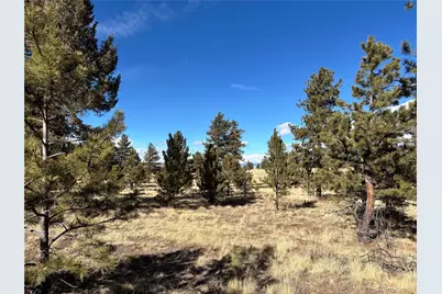 823 Windmill Drive, Hartsel, CO 80449 - Photo 5