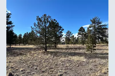 823 Windmill Drive, Hartsel, CO 80449 - Photo 15