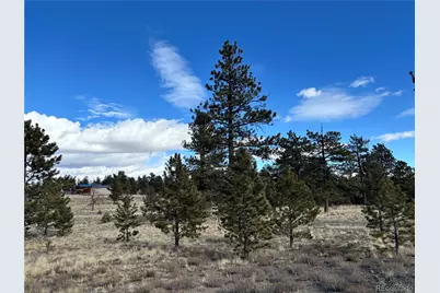 823 Windmill Drive, Hartsel, CO 80449 - Photo 7