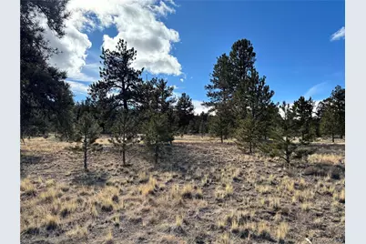 823 Windmill Drive, Hartsel, CO 80449 - Photo 13