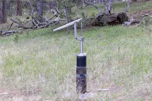 3600 Blue Mountain Trail, Lyons, CO 80540 - Photo 19