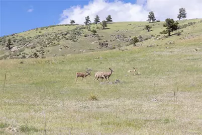 3600 Blue Mountain Trail, Lyons, CO 80540 - Photo 21