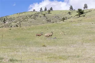 3600 Blue Mountain Trail, Lyons, CO 80540 - Photo 21