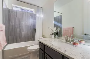 2347 Tyrrhenian Cir, Longmont, CO 80504 - Photo 19