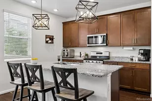 465 Silver Rock Trl, Castle Rock, CO 80104 - Photo 13