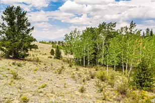 429 Turk Pony Way, Como, CO 80432 - Photo 1
