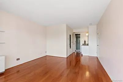 888 N Logan Street #5G, Denver, CO 80203 - Photo 21