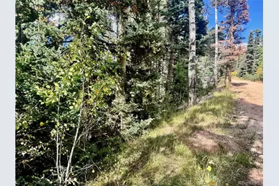 Lot 2843 Wendt Lane, Fort Garland, CO 81133 - Photo 13