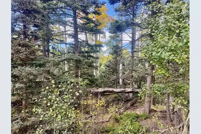 Lot 2843 Wendt Lane, Fort Garland, CO 81133 - Photo 3