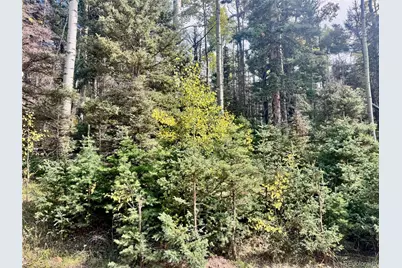 Lot 2843 Wendt Lane, Fort Garland, CO 81133 - Photo 9
