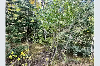Lot 2843 Wendt Lane, Fort Garland, CO 81133 - Photo 7