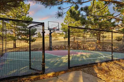 10378 Grande Vista Court, Lone Tree, CO 80124 - Photo 47