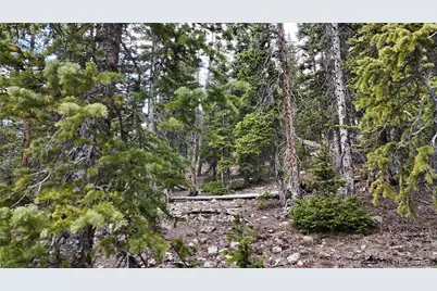 331 Kimmes Lane, Breckenridge, CO 80424 - Photo 7