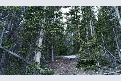 331 Kimmes Lane, Breckenridge, CO 80424 - Photo 5