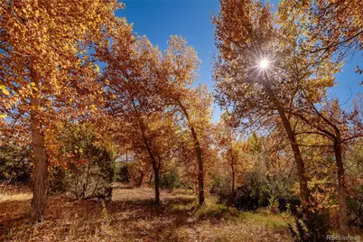 40 County Rd. 541, Gardner, CO 81040 - Photo 35