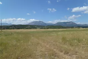 40 Co Rd 541, Gardner, CO 81040 - Photo 49