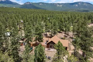 21 Crystal Rock Rd, Bailey, CO 80421 - Photo 41