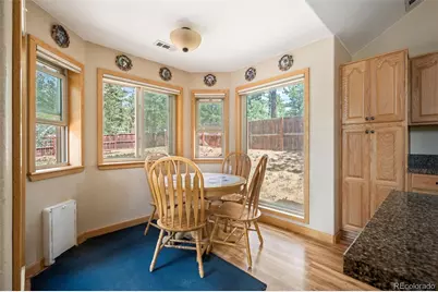 21 Crystal Rock Road, Bailey, CO 80421 - Photo 15