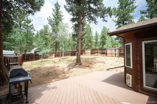 21 Crystal Rock Rd, Bailey, CO 80421 - Photo 43