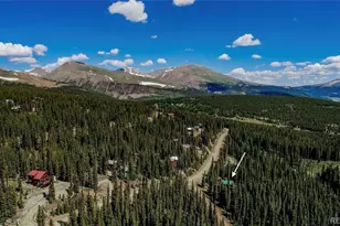 750 Miners Way, Fairplay, CO 80440 - Photo 43