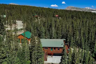 750 Miners Way, Fairplay, CO 80440 - Photo 37